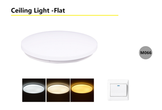 Ceiling Lignt-Bread