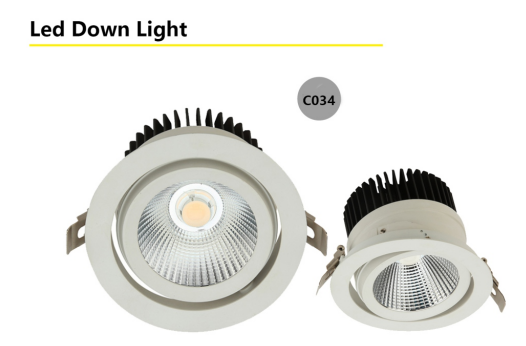  LED DOWNLIGHT