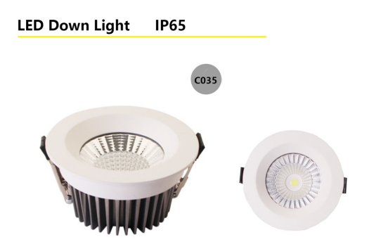LED DOWNLIGHT IP65